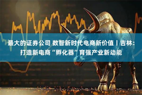 最大的证券公司 数智新时代电商新价值丨吉林：打造新电商“孵化器”育强产业新动能